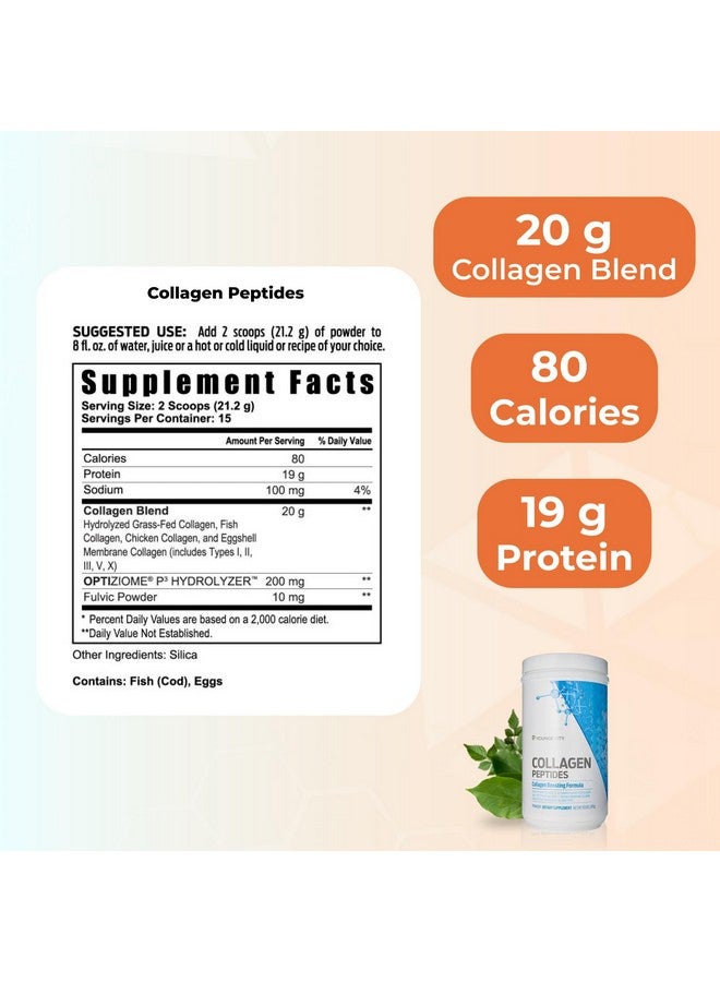 youngevity مسحوق ببتيدات الكولاجين المتعددة من يانغيفيتي مع مسحوق الفولفيك - كولاجين هيدروزي من لحم البقر الذي يتغذى على العشب، البحري، الدجاج، وغشاء البيض - دعم الشعر، البشرة، الأظافر، المفاصل، والعظام - I، II، III، V، X - 11.4 أونصة - Image 3