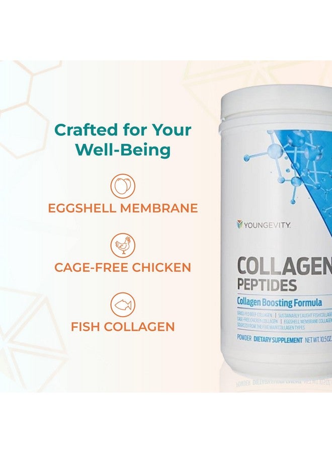 youngevity مسحوق ببتيدات الكولاجين المتعددة من يانغيفيتي مع مسحوق الفولفيك - كولاجين هيدروزي من لحم البقر الذي يتغذى على العشب، البحري، الدجاج، وغشاء البيض - دعم الشعر، البشرة، الأظافر، المفاصل، والعظام - I، II، III، V، X - 11.4 أونصة - Image 5