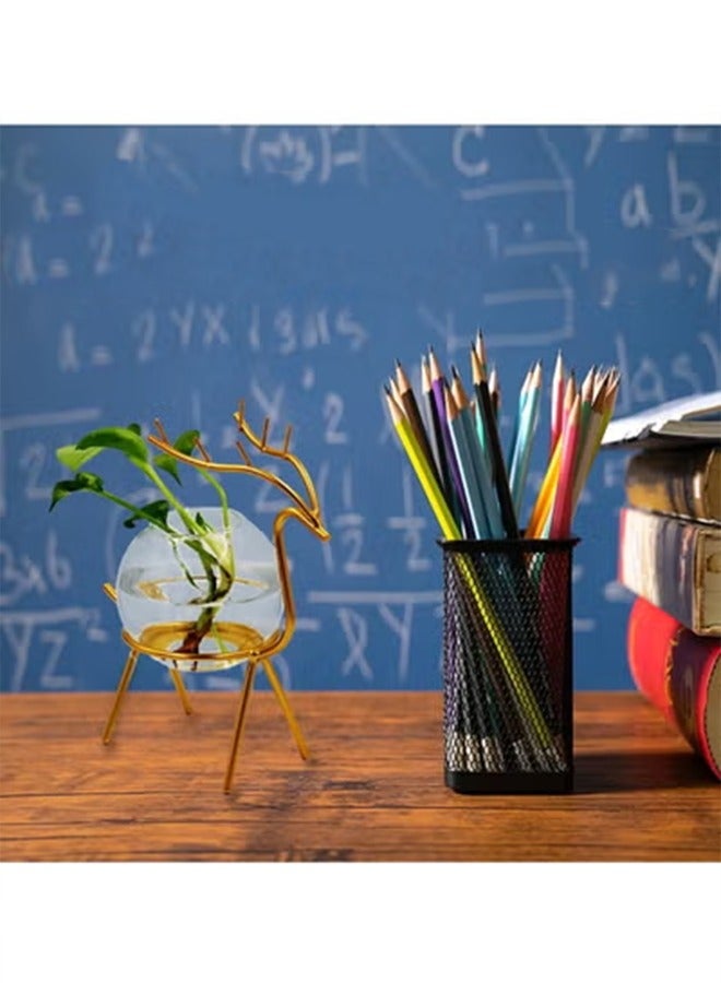 Air Plant Terrarium with Metal Stand for Desktop - Glass Vase for Indoor Hydroponics, Ideal for Home Garden and Office Decor - Image 3