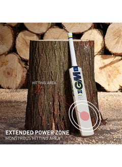 GM Prima Bullet English Willow  Cricket Bat  - Image 2