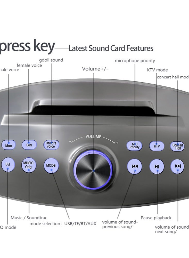 سدرد آلة كاريوكي، مكبر صوت كاريوكي محمول بتقنية البلوتوث مع ميكروفونين لاسلكيين للكبار والأطفال، ميكروفون كاريوكي مع نظام صوتي يدعم USB/TF/AUX--ذهبي - Image 4