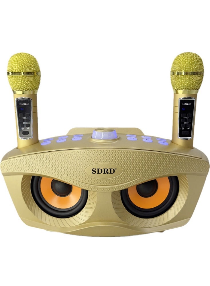 سدرد آلة كاريوكي، مكبر صوت كاريوكي محمول بتقنية البلوتوث مع ميكروفونين لاسلكيين للكبار والأطفال، ميكروفون كاريوكي مع نظام صوتي يدعم USB/TF/AUX--ذهبي - Image 1