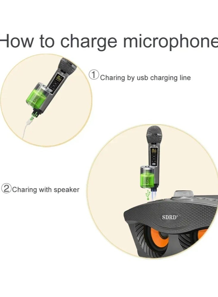 سدرد آلة كاريوكي، مكبر صوت كاريوكي محمول بتقنية البلوتوث مع ميكروفونين لاسلكيين للكبار والأطفال، ميكروفون كاريوكي مع نظام صوتي يدعم USB/TF/AUX--ذهبي - Image 5