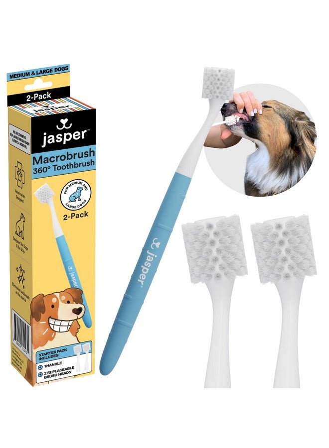 جاسبر فرشاة أسنان جاسبر ماكرو براش 360 درجة، فرشاة أسنان للكلاب المتوسطة إلى الكبيرة، مجموعة تنظيف أسنان الكلاب ذات الشعيرات الناعمة - مقبض ممتاز غير قابل للانزلاق مع رأسين لفرشاة الأسنان قابلين للاستبدال، للاستخدام مع معجون أسنان الحيوانات الأليفة - Image 1