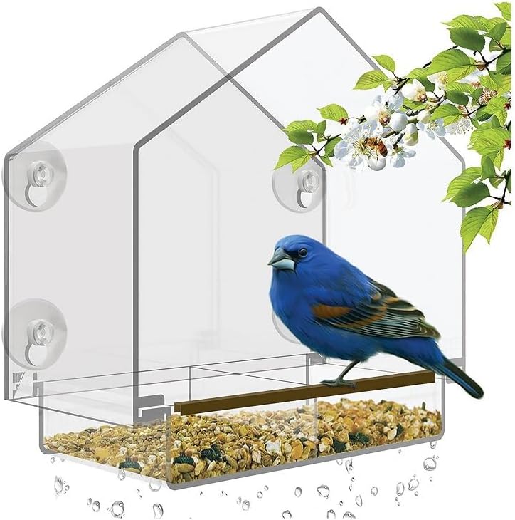 VISIOGEAR Clear View Window Bird Feeder with Strong Suction Cups, Acrylic Transparent Outdoor Wild Bird Seed Feeder and Décor, 2 Cup Capacity, Clear - Image 3
