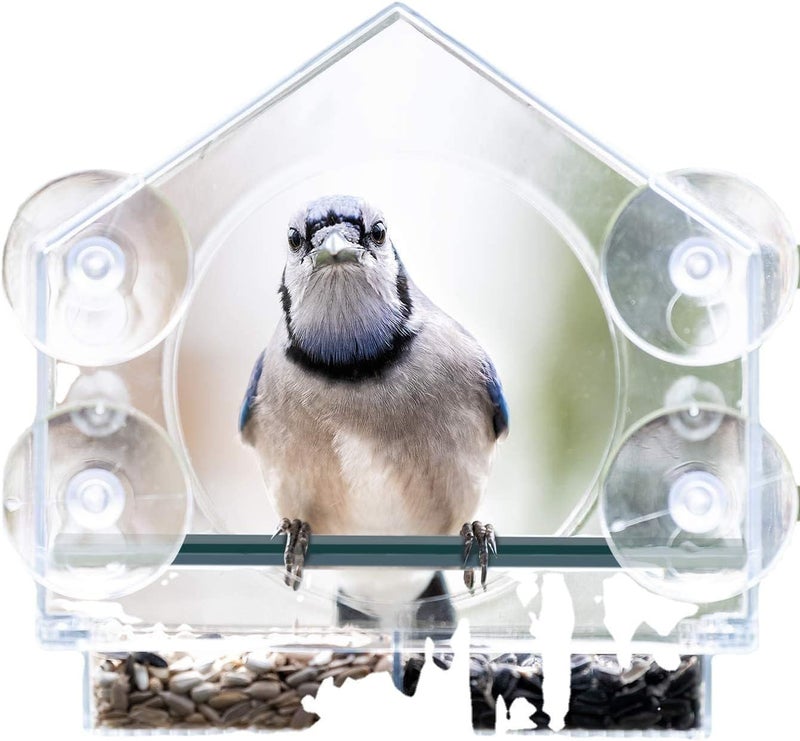 VISIOGEAR Clear View Window Bird Feeder with Strong Suction Cups, Acrylic Transparent Outdoor Wild Bird Seed Feeder and Décor, 2 Cup Capacity, Clear - Image 1