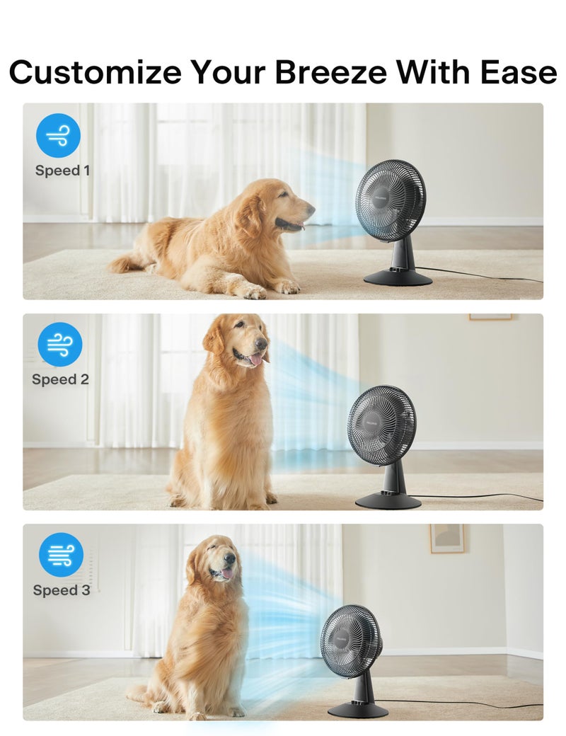 PELONIS Table Fan 12-Inch, 120Â° Oscillating Table Fan Small Portable Electric Plug-In Desk Fan with 3-Speeds, 126Â° Adjustable Tilt Head for Bedroom and Office Black - Image 4