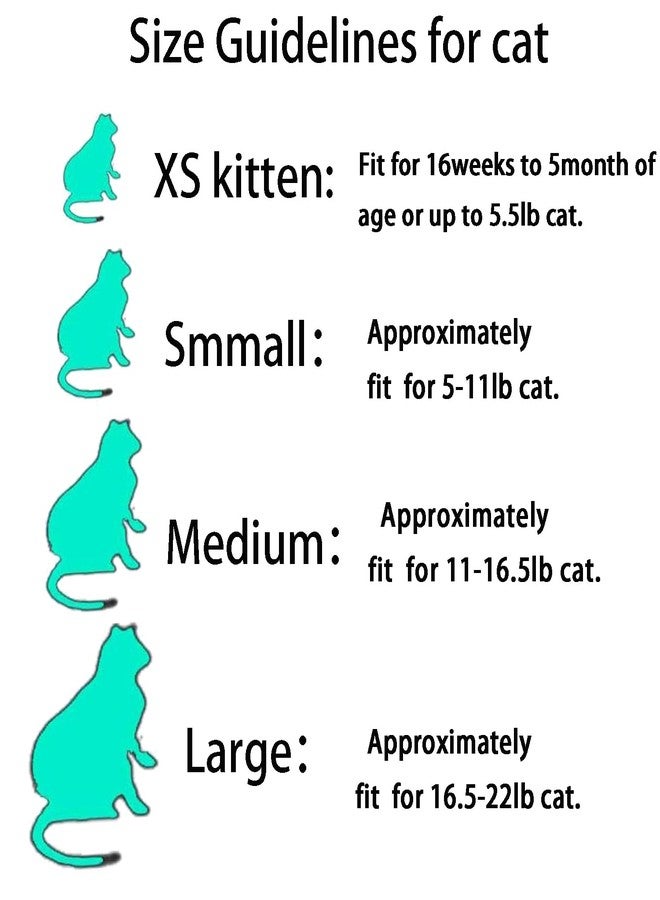 يمكول YMCCOOL 100 قطعة من أغطية أظافر القطط الشفافة، أغطية مخالب القطط الصغيرة، أطراف أظافر الحيوانات الأليفة مع مواد لاصقة وأدوات تطبيق كبيرة - Image 2