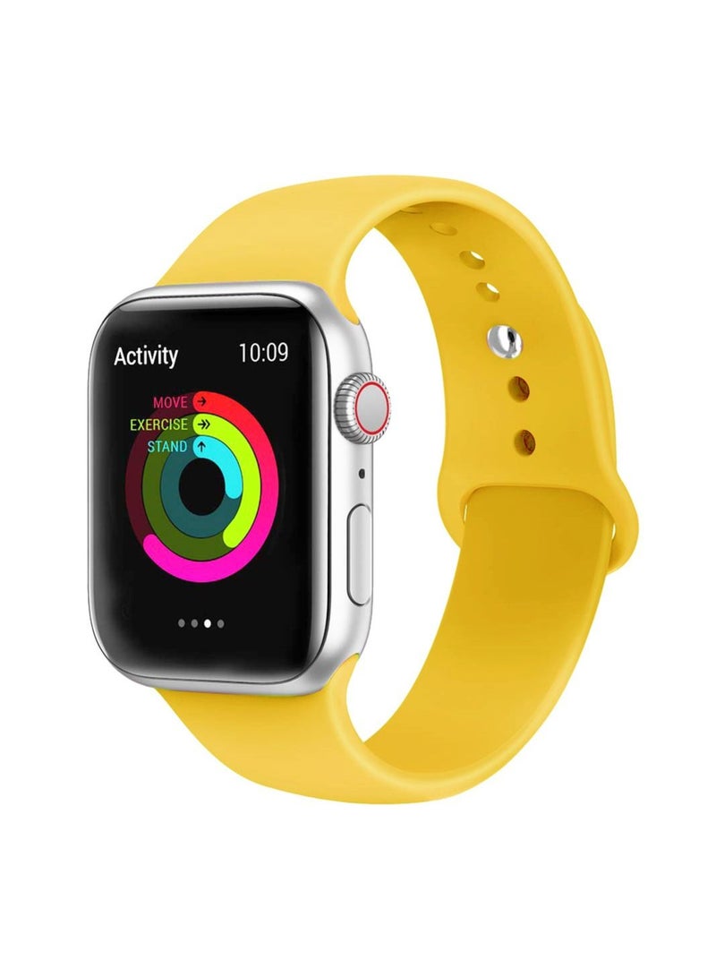 Soft Silicone Fitness Replacement Accessories Wristbands Straps for Apple iWatch Band Series 6/5/4/3/2/1/SE - 42/44mm