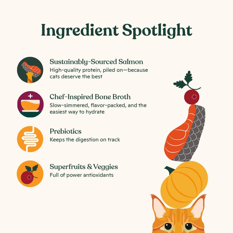 Made by Nacho Dry Cat Kibble 4lb Bag, High Protein and Grain-Friendly Premium Cat Food, Sustainably Caught Salmon and Pumpkin, Infused with Bone Broth for Hydration, Limited Ingredients, Single Bag - Image 4