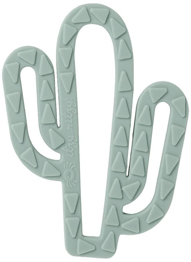 Itzy Ritzy - Itzy Ritzy Silicone Baby Teether - BPA-Free Infant Teether with Easy-to-Hold Design and Textured Back Side to Massage and Soothe Sore, Swollen Gums, Cactus - Image 1