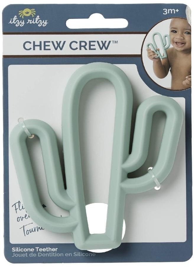 Itzy Ritzy - Itzy Ritzy Silicone Baby Teether - BPA-Free Infant Teether with Easy-to-Hold Design and Textured Back Side to Massage and Soothe Sore, Swollen Gums, Cactus - Image 1