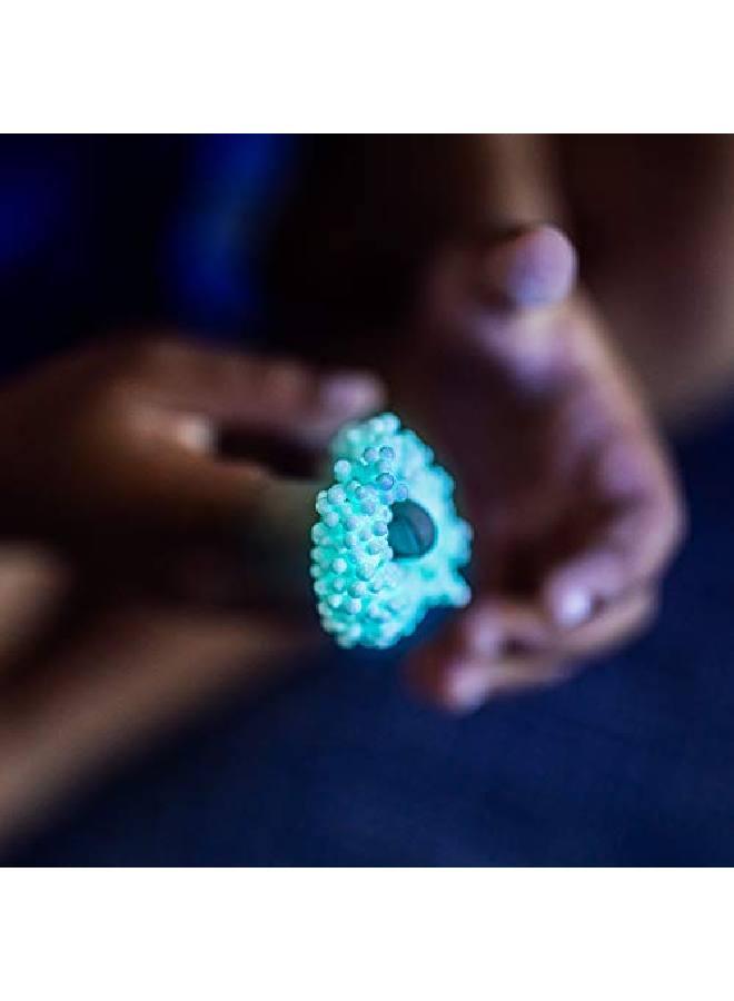 Educational Insights Playfoam Glowinthedark 4Pack Fidget & Sensory Toy Gift For Boys & Girls Ages 3+ - Image 5