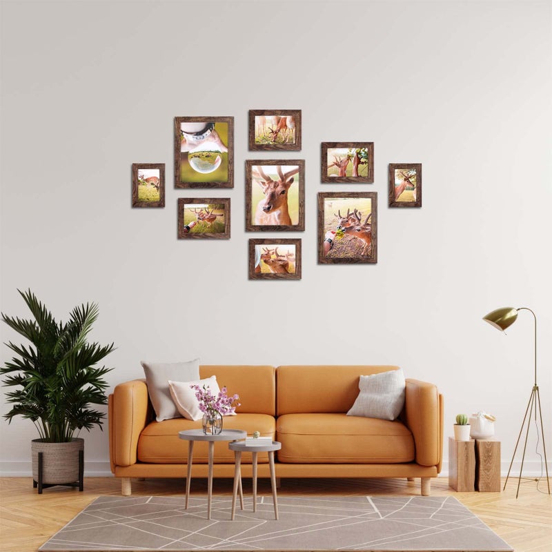 PETAFLOP 8x10 Picture Frame Set of 7  Rustic Frames Display 8 by 10 Inch Photo for Wall or Tabletop - Image 4