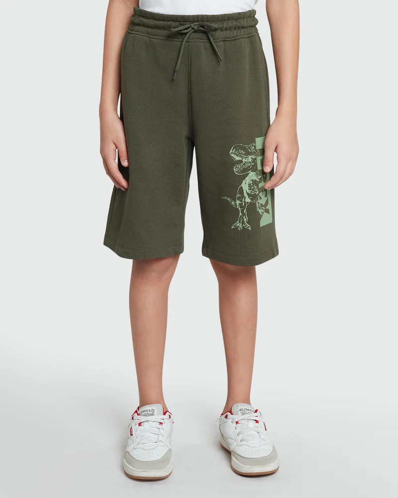 او في اس Green