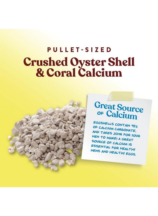 Manna Pro Crushed Oyster Shell Calcium Supplement For Laying Chickens, Poultry Treat, 5 lbs - Image 3