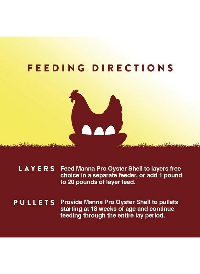 Manna Pro Crushed Oyster Shell Calcium Supplement For Laying Chickens, Poultry Treat, 5 lbs - Image 5