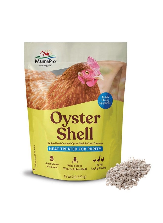 Manna Pro Crushed Oyster Shell Calcium Supplement For Laying Chickens, Poultry Treat, 5 lbs - Image 1