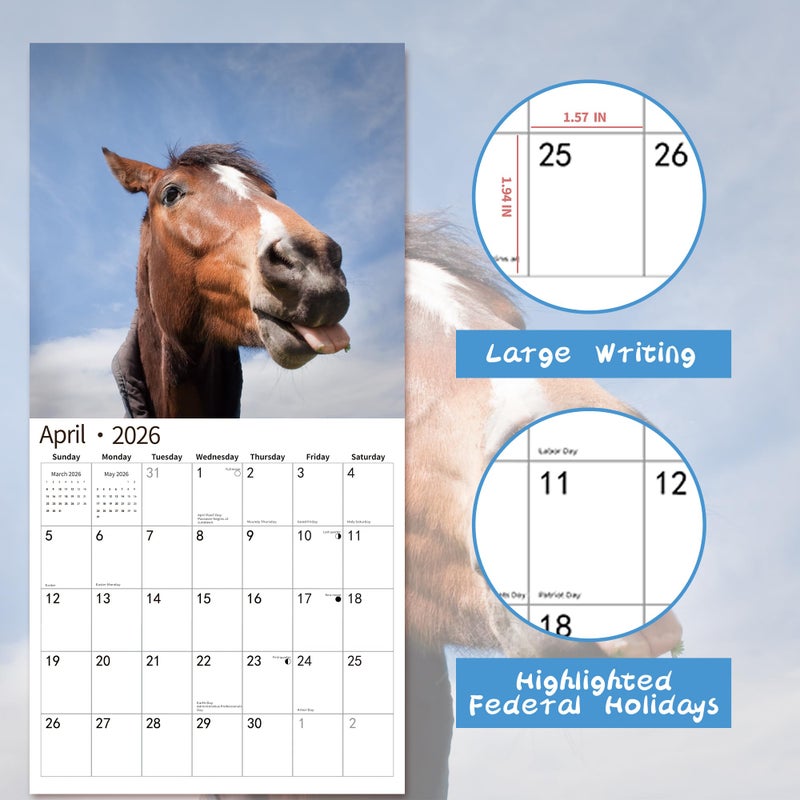 windrio 2026 Wall Calendar,Funny Calendar 2026, November 2025 - December 2026, Wall Calendar Funny Animal Memes, 12" x 24" Opened, Full Page 12 Months Thick Paper for Gift Calendar Organizing Planning - Image 3