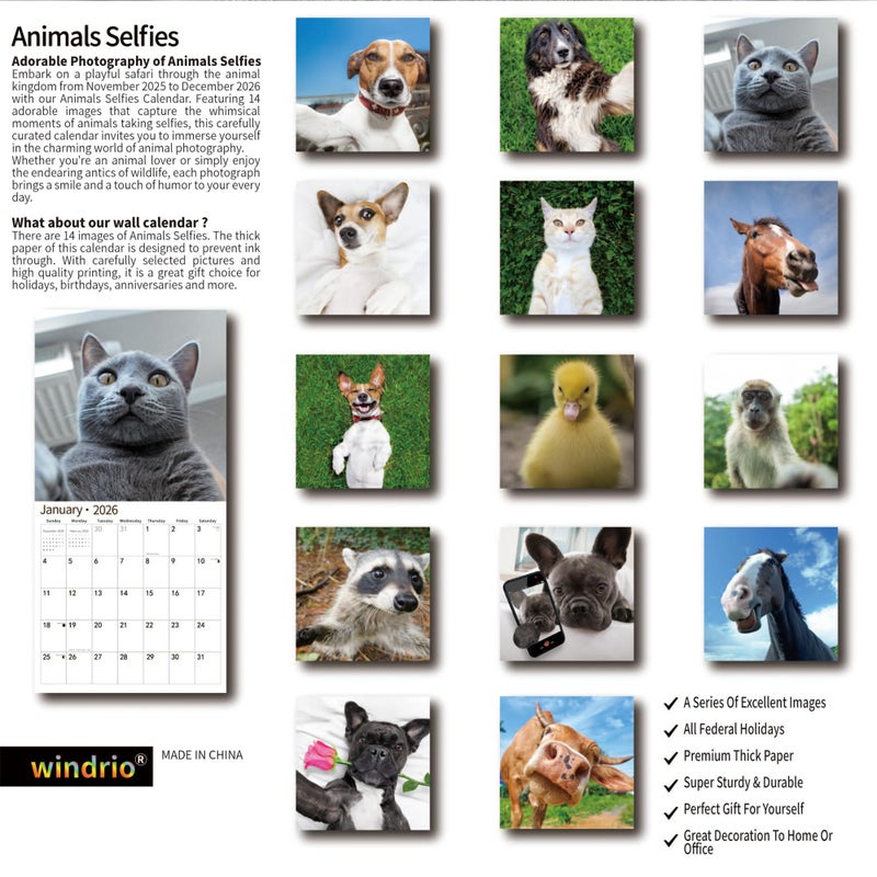 windrio 2026 Wall Calendar,Funny Calendar 2026, November 2025 - December 2026, Wall Calendar Funny Animal Memes, 12" x 24" Opened, Full Page 12 Months Thick Paper for Gift Calendar Organizing Planning - Image 2