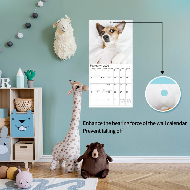 windrio 2026 Wall Calendar,Funny Calendar 2026, November 2025 - December 2026, Wall Calendar Funny Animal Memes, 12" x 24" Opened, Full Page 12 Months Thick Paper for Gift Calendar Organizing Planning - Image 4