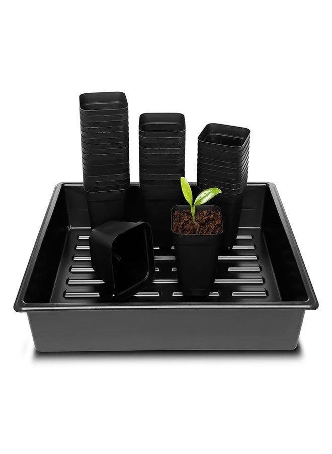 RooTrimmer مجموعة أدوات تشذيب النباتات من RooTrimmer، تتضمن 100 قطعة من أواني التشتيل المربعة مقاس 8 سم (3.15 بوصة)، و5 قطع من صواني الشتلات المتينة، وصينية إنبات البذور، و5 مجموعات من أدوات زراعة النباتات الصغيرة. - Image 1