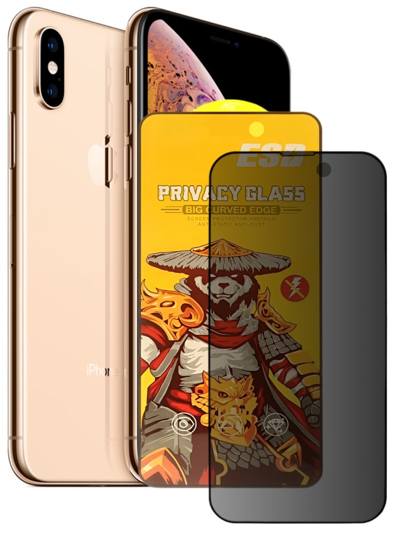 ESD Tempered Dustproof Privacy Glass Screen Protector Compatible For iPhone XS Max - Image 1