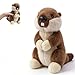 Freetoes Screaming Groundhog ToyFunny Groundhog Stuffed Animal Desk ToyMakes Fun Screaming Groundhogs SoundsFunny Gag Gifts for Men WomenPranks Stuff for AdultsPrank Noise Maker - Image 2