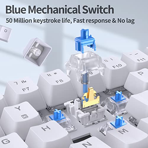 TMKB Technology Mechanical KeyBoard TMKB T68SE 60% Mechanical Gaming Keyboard – Ultra-Compact 68 Keys Wired Keyboard with Blue Switches, LED Backlit, Dedicated Arrow & Control Keys – White – for Windows PC/Laptop/Gamers/Typists - Image 3