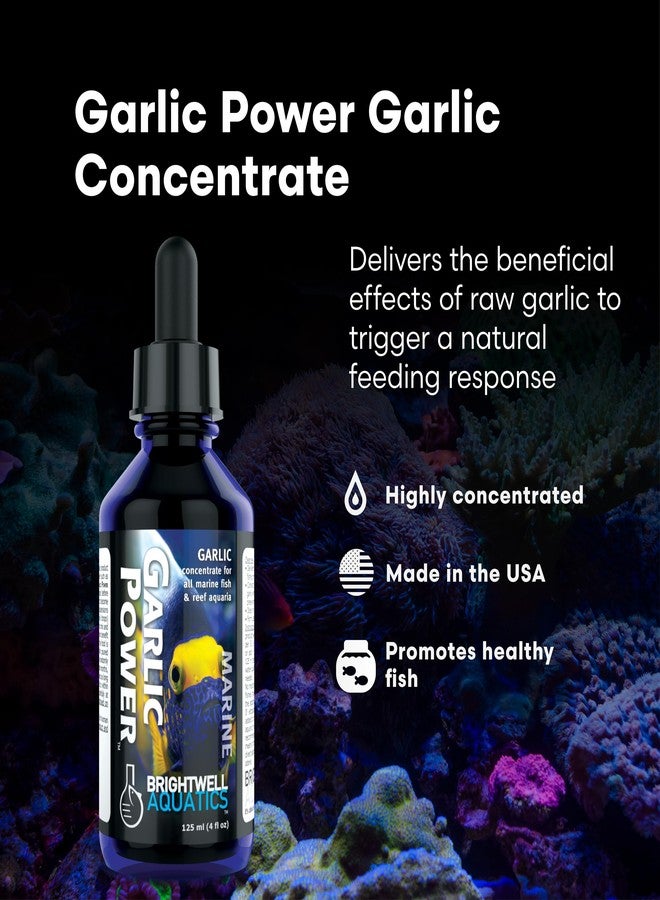 Brightwell Aquatics GarlicPower Garlic Extract for Aquarium Fish Food - Enhances Feeding Response - Boosts Nutrition - Ideal for Marine & Reef Tanks, 60 ml - Image 2