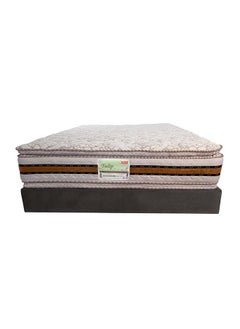 Tulip Mattress 170x200 cm - pzsku/ZB908DDAA11B6B0416EB9Z/45/_/1696924041/54e8370b-a54a-4abb-bf21-3257c3e19859