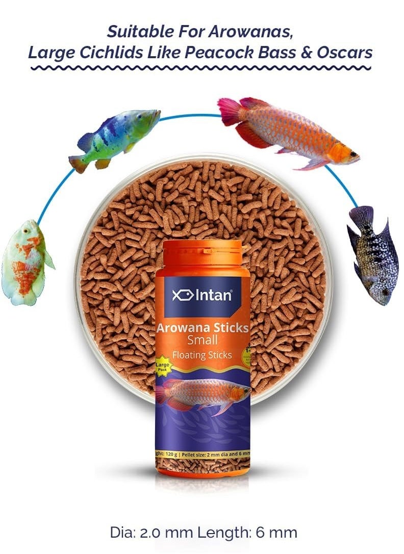 Generic - INTAN Aquatic AROWANA Sticks Fish Food Small Floating Stick For Arowana Fish Large Pack 120 Gram, Pellet Size 2 Mm And 6 Mm Length, Pack Of 1 - Image 1
