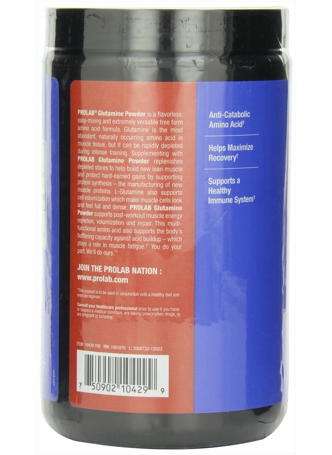 PROLAB PROLAB Glutamine Powder, 400 Grams  - Image 2