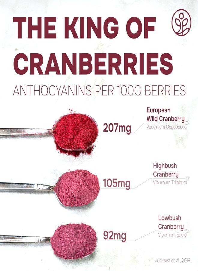 Jungle Powders Wild Cranberry Powder 3.5 Ounce Bag Natural Freeze Dried Cranberries Powdered Cranberry Supplement Freeze Dried Whole Cranberry Extract for Baking Flavoring Fruit No Sugar Added - Image 4