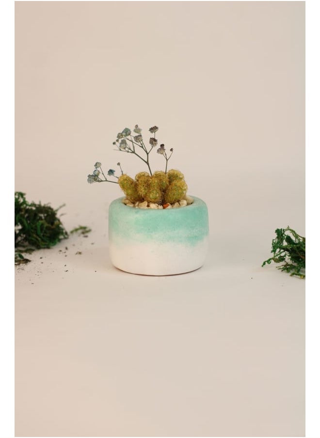 Funny Pot Cactus pottery pot 