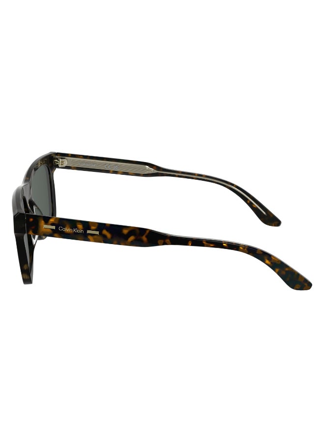 CALVIN KLEIN نظارات شمسية كاملة الإطار من أسيتات كالفن كلاين CK25506SN 5420 (235) داكن هافانا - Image 3