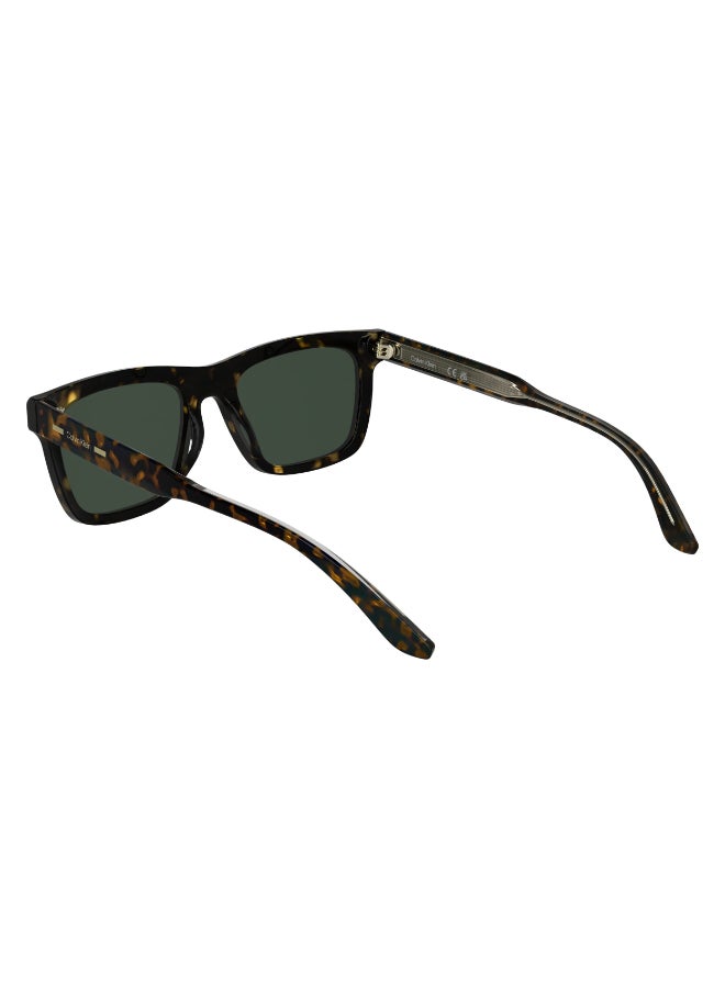 CALVIN KLEIN نظارات شمسية كاملة الإطار من أسيتات كالفن كلاين CK25506SN 5420 (235) داكن هافانا - Image 4