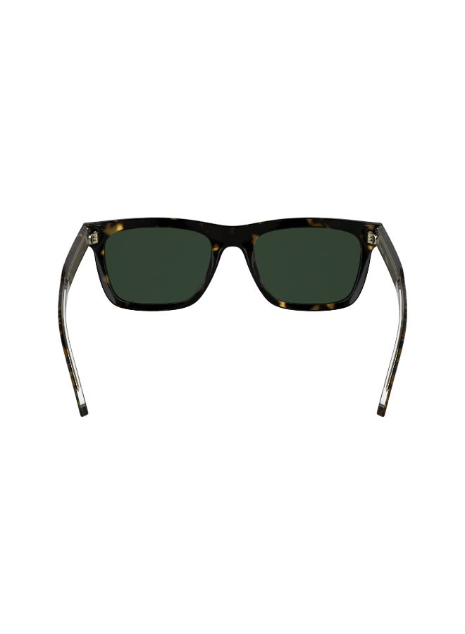 CALVIN KLEIN نظارات شمسية كاملة الإطار من أسيتات كالفن كلاين CK25506SN 5420 (235) داكن هافانا - Image 5