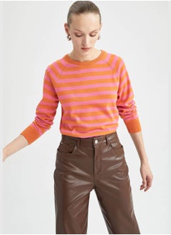 Regular Fit Long Sleeve Stripe Jumper