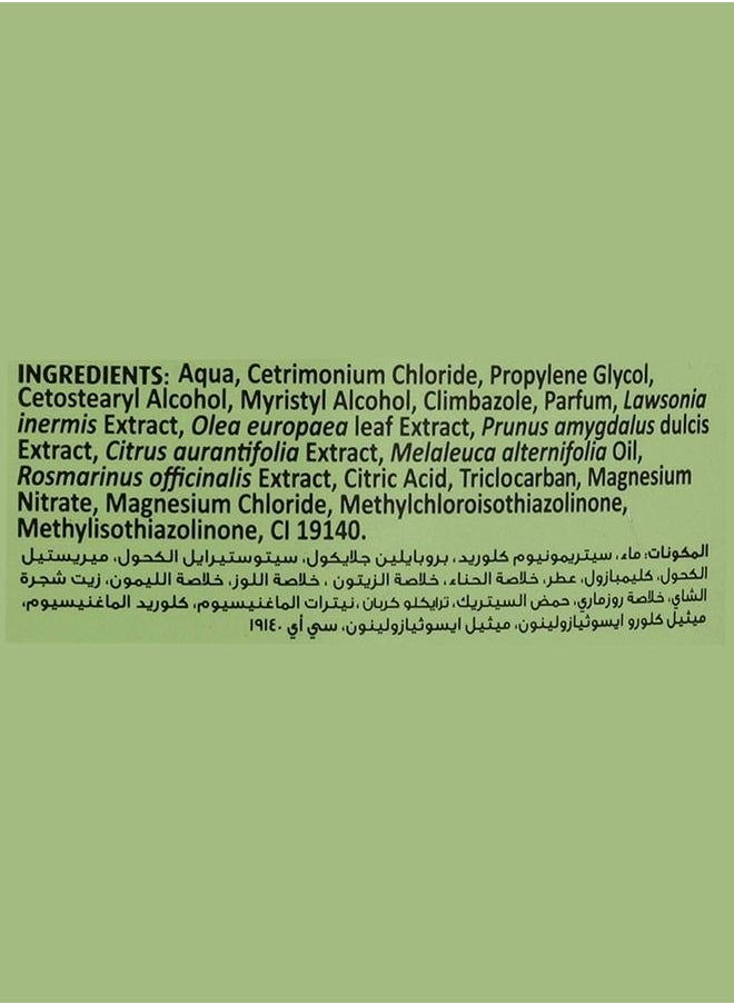 Vatika Naturals - Vatika Naturals Hammam Zaith Hot Oil Treatment | Enriched With Lemon & Tea Tree | For Dandruff-Free Hair - 500g - Image 1