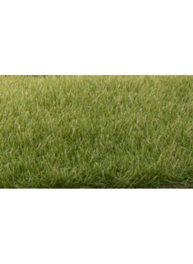 Woodland Scenics Static Grass 4Mmmedium Green Fs618  - Image 3