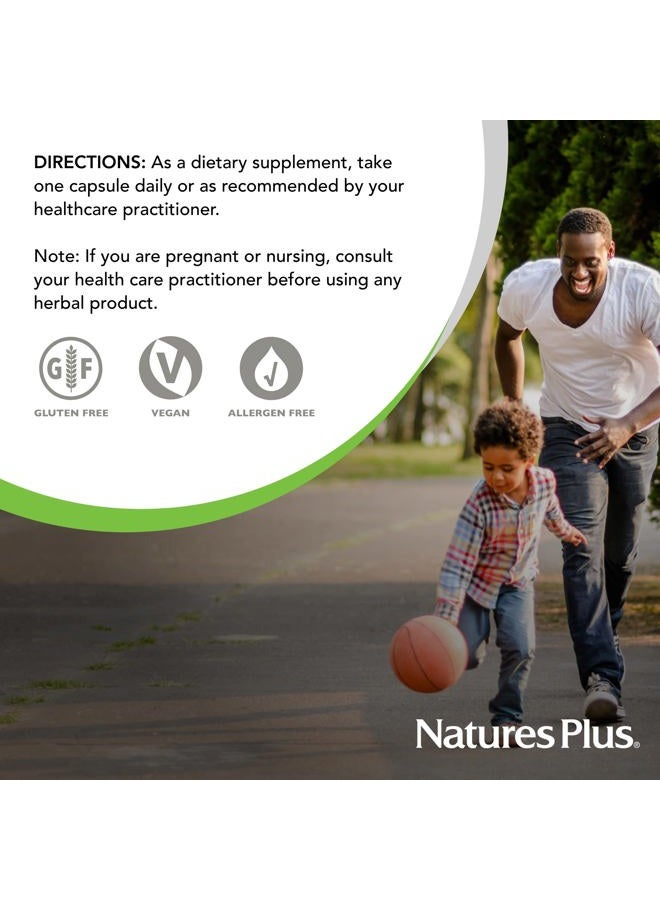 Natures Plus Herbal Actives Astragalus - 60 Capsules - Immune System Support - Vegan, Gluten Free - 60 Servings