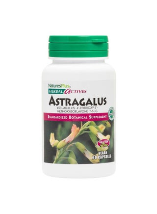 Natures Plus Herbal Actives Astragalus - 60 Capsules - Immune System Support - Vegan, Gluten Free - 60 Servings - pzsku/ZB91288E108716882A9ABZ/45/1743357753/c09bf2b8-541d-48f4-8749-036f70bc6ce1