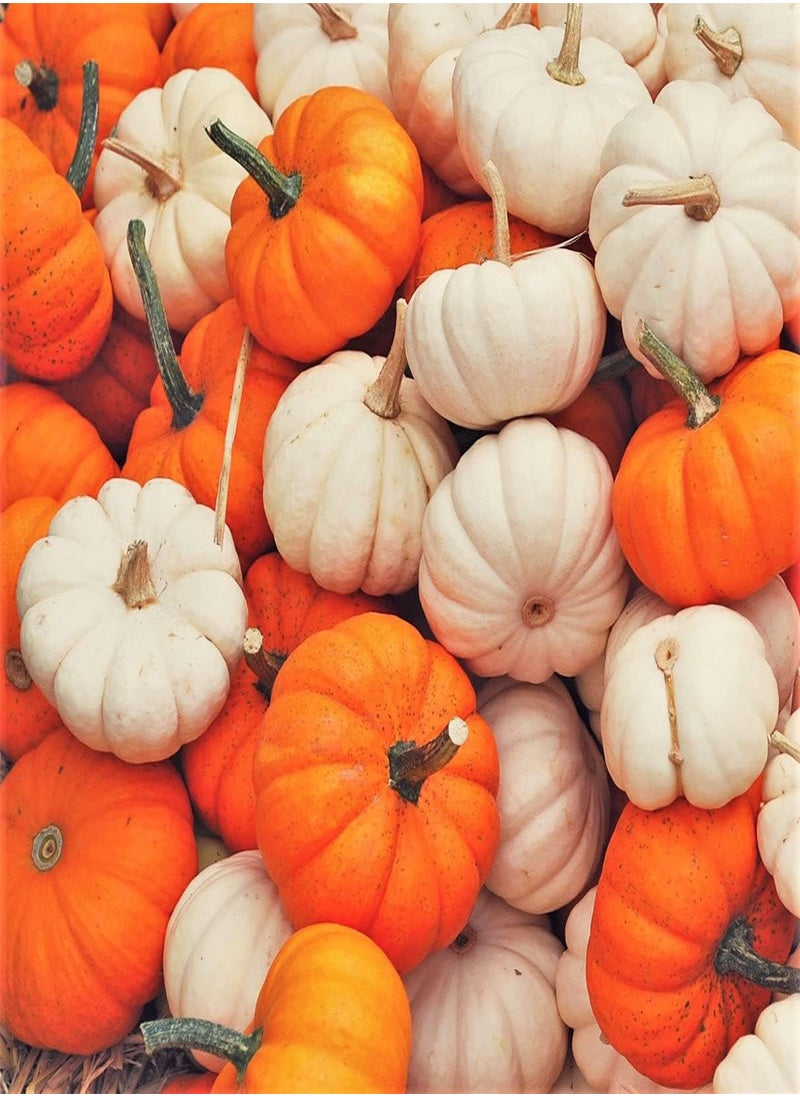 GGOOT - Mini Mix Pumpkin Seeds - 30+ Count Packet - for 2024 White Orange Mix Baby Boo, Jack- Be-Little, Wee-B-Little Untreated Squash - Image 1