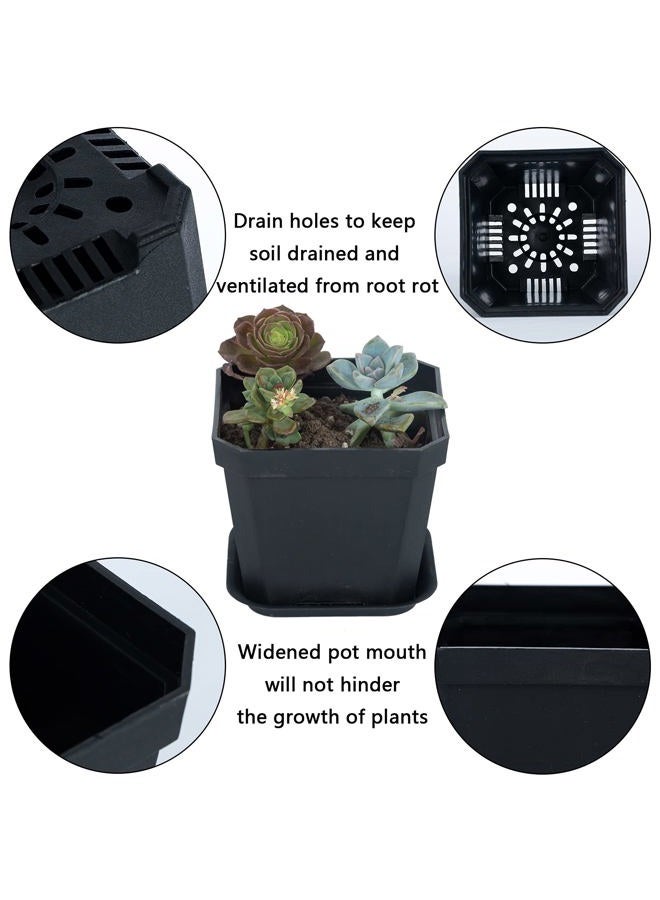 Foxany 4" Plastic Nursery Pot, 30 Pcs Thick Plastic Square Planting Pots, Plant Seedling Pots, Seed Starting Pots - Black - Image 3