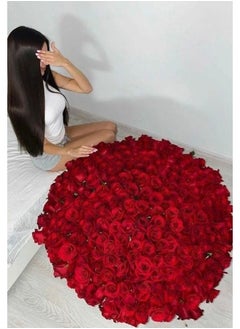 Ya Amar 201 Red Rose Basket Arragement - pzsku/ZB915FD6D8484B26275C6Z/45/_/1729574772/6511af36-8ffa-4da8-b884-db4120454e06