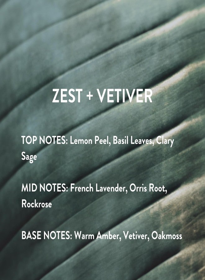 Michael Malul Zest + Vetiver- 10ml Travel Size - Image 4