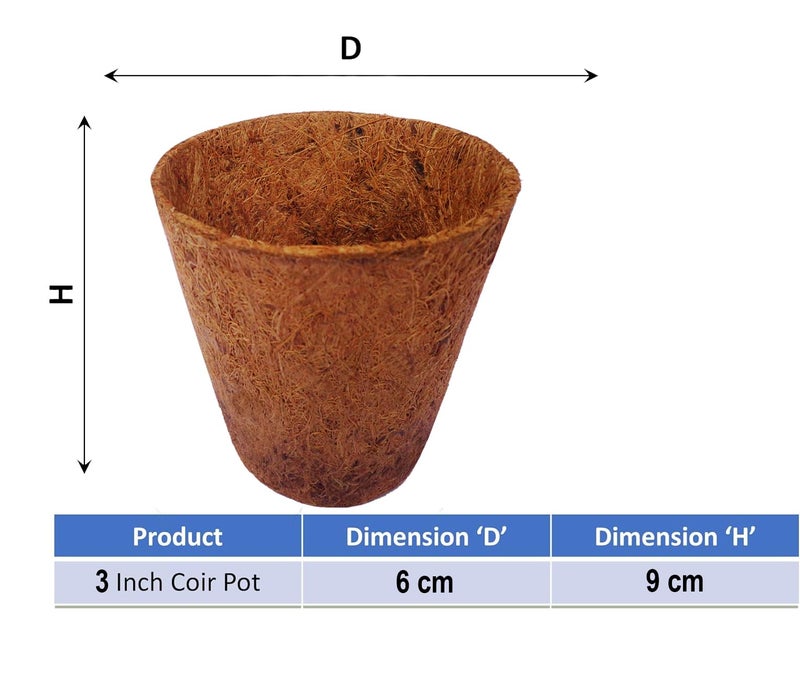 COIR GARDEN Rubber Coir Pot, Brown, 3 inch, 10 Piece - Image 2