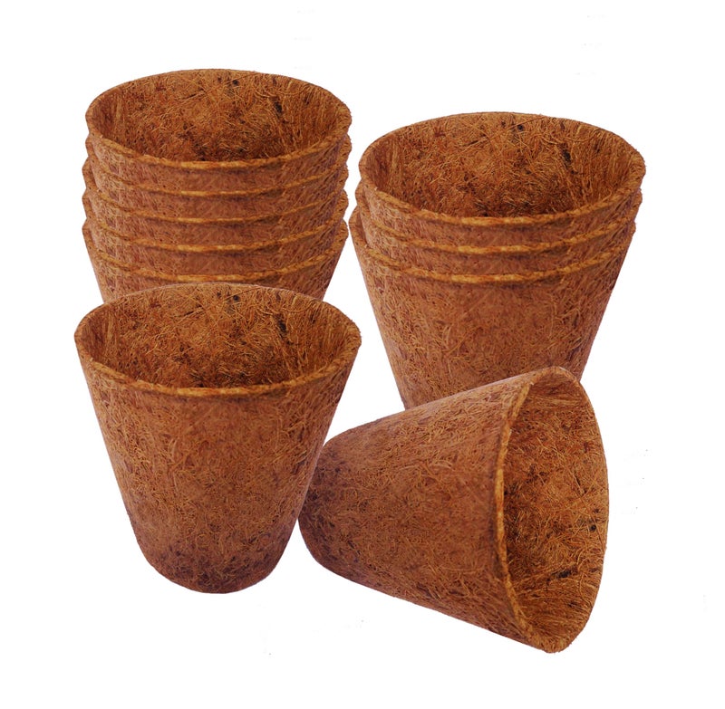 COIR GARDEN Rubber Coir Pot, Brown, 3 inch, 10 Piece - Image 1