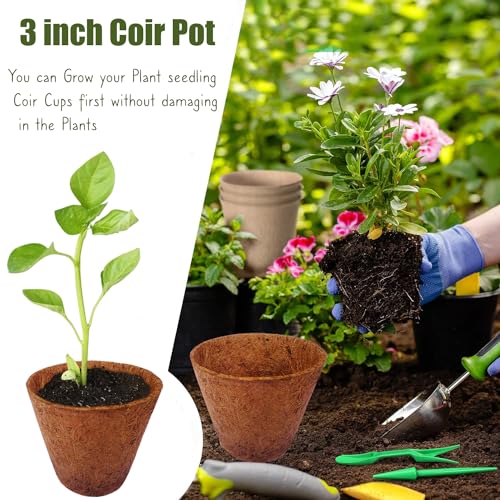 COIR GARDEN Rubber Coir Pot, Brown, 3 inch, 10 Piece - Image 4